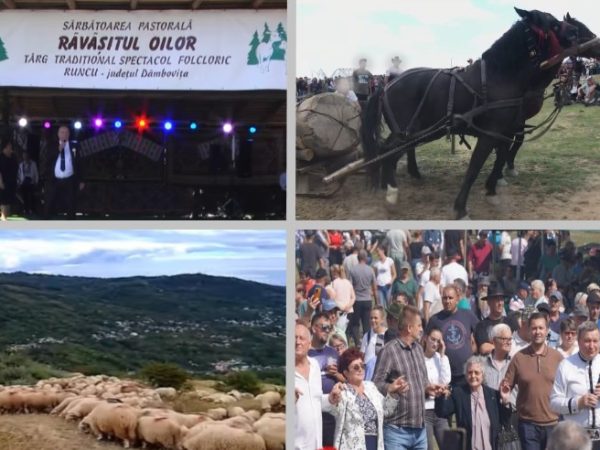 Runcu, județul Dâmbovița: Unii cu cheful și dansatul, alții cu… paguba. Paradoxuri dâmbovițene, la “Răvășitul oilor”!
